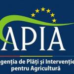 apia