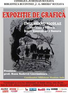 expozitie grafica