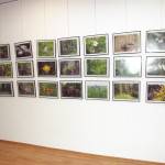 Fotografiile si desenele din cadrul expozitiei Ecoturism Art pot fi admirate pina pe 22 septembrie la City Gallery, in cadrul SCS - SVLV