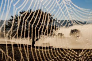 Fotografie realizată de Marina Sveduneac, publicată în National Geographic