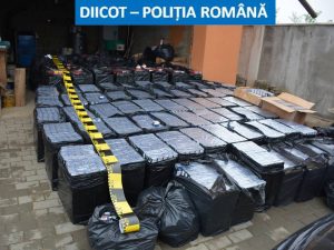 În urma efectuării percheziţiilor, polițiștii au descoperit o cantitate impresionantă de țigări