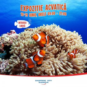 expozitie acvatica