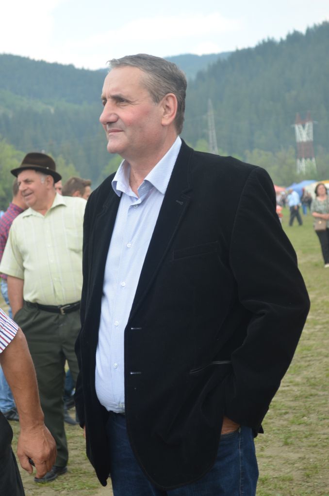 Mihai Neagu, senator