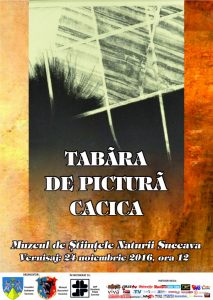 afis-tabara-cacica