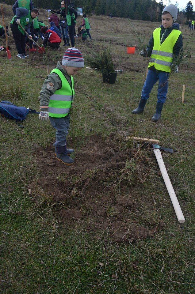 S-a dat startul proiectului „Pădurea de Mâine” plantându-se 21 de mii de arbori 