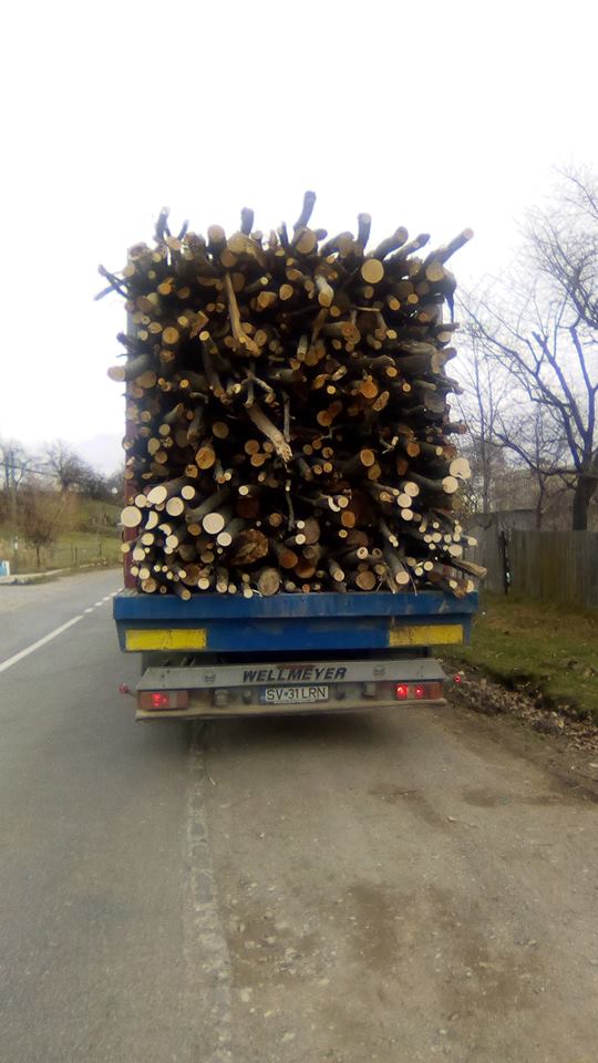 Un tir încărcat cu lemne a pus în pericol siguranța participanților la trafic, în zona Fălticeni