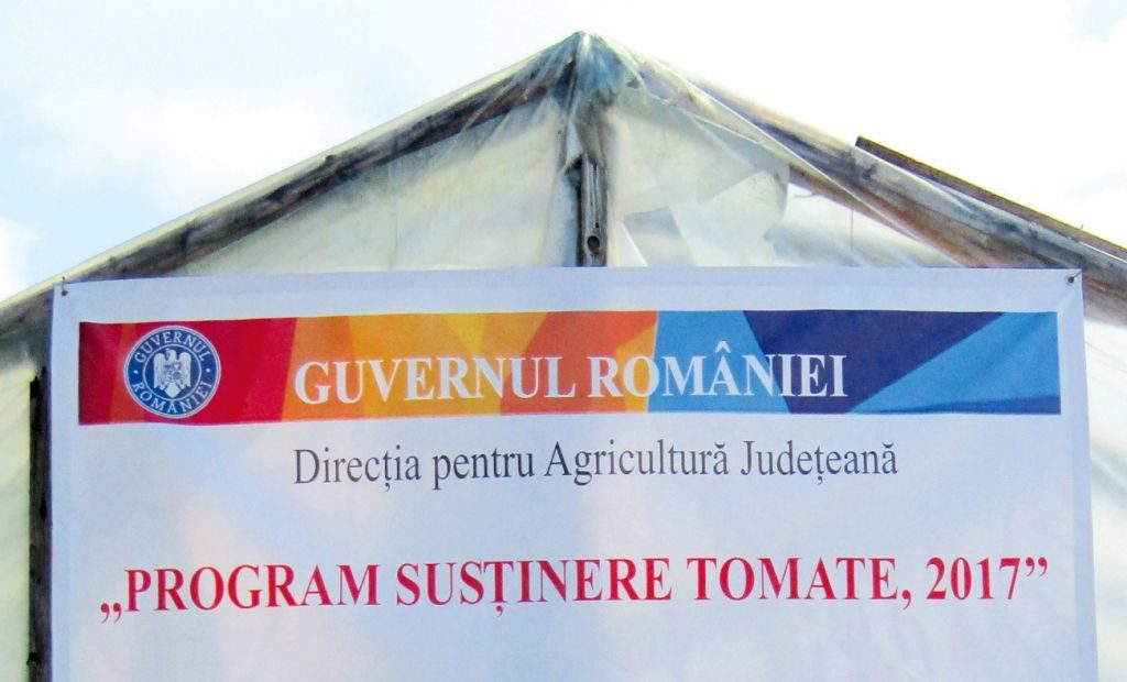 Cei care au cultivat roșii în spații protejate și-au primit banii