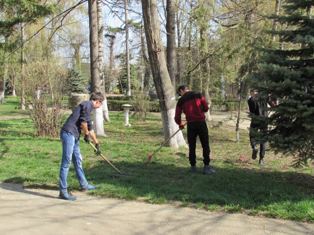 Acțiuni de ecologizare și plantare de arbori, în Fălticeni